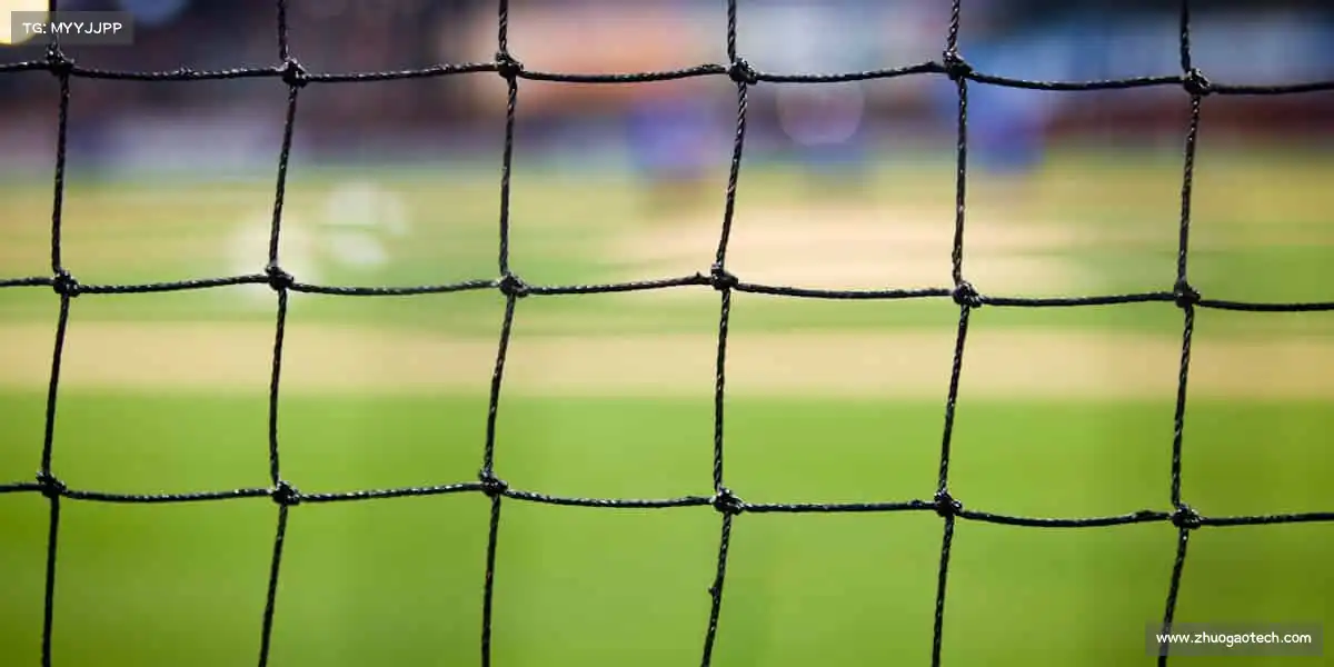 <strong>PG官方电子</strong>🏆冠军不是终点，而是新的起点 —— 和我们一起，追逐更高的荣耀！